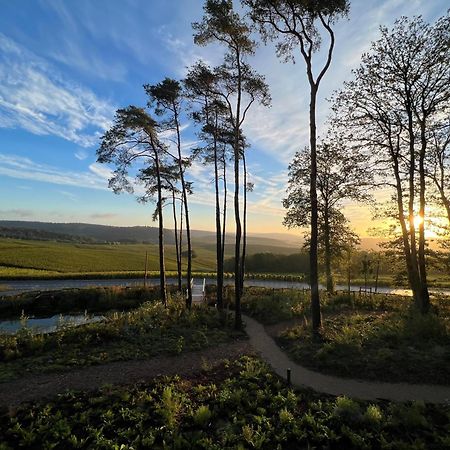 LOISIUM Wine&Spa Hotel Champagne Mutigny Esterno foto