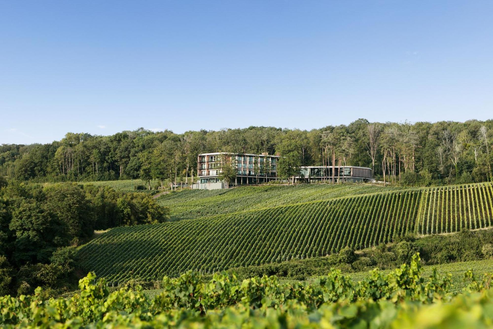 LOISIUM Wine&Spa Hotel Champagne Mutigny Esterno foto