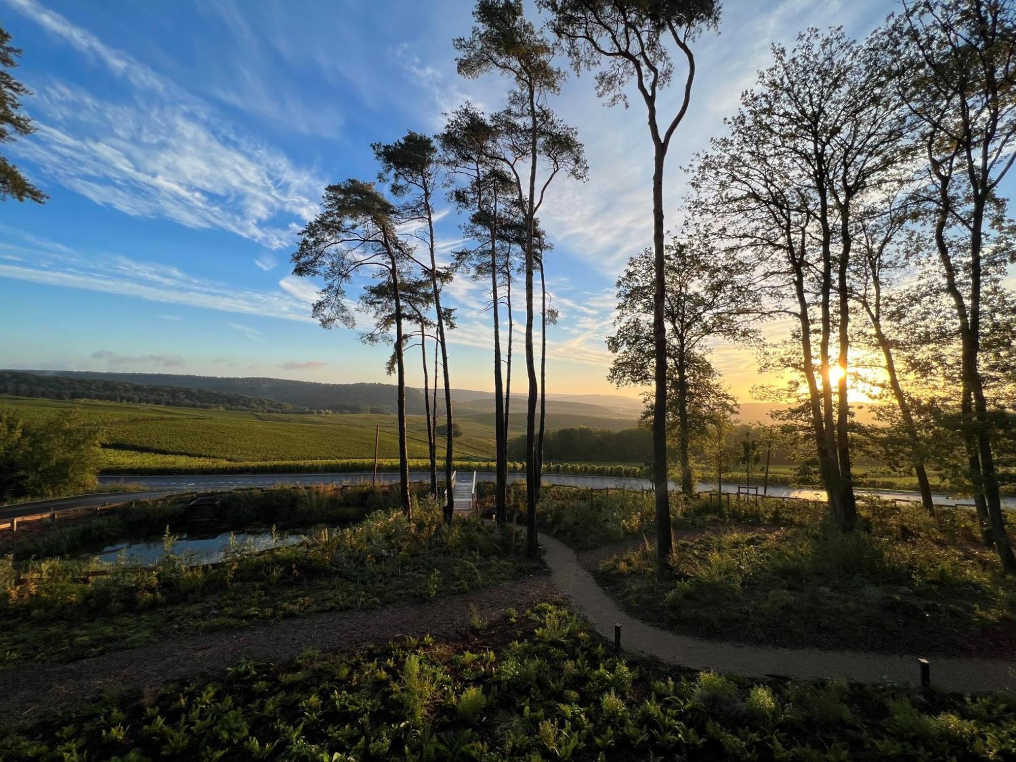 LOISIUM Wine&Spa Hotel Champagne Mutigny Esterno foto
